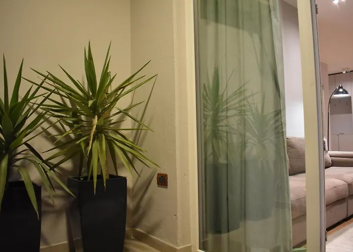 Tam Serviced Shallvaret District Tirana